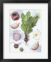 Food Sketches II Framed Print