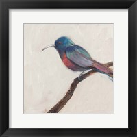 Bird Profile I Framed Print
