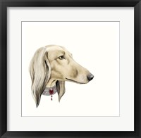 Haute Hounds IV Framed Print