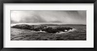 Framed Island of arctic birds and sea lions, Beagle Channel, Patagonia, Argentina