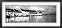 Framed Galway, Ireland BW