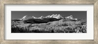 Framed Colorado, Rocky Mountains, aspens, autumn