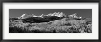 Framed Colorado, Rocky Mountains, aspens, autumn