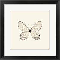 Butterfly I Framed Print