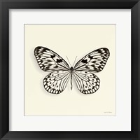 Framed Butterfly V