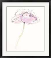 Framed Single Pink Somniferums II on White