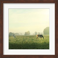 Framed Farm Morning I Square