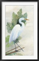 Standing Egret I Framed Print