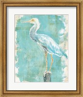 Framed Coastal Egret II