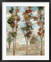 Serene Forest III Framed Print