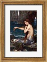 Framed Mermaid