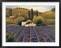 Framed Field of Lavender I