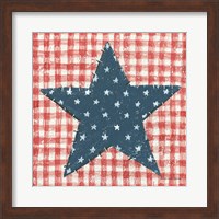 Framed Americana Quilt II