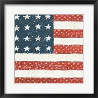 Americana Quilt IV Framed Print