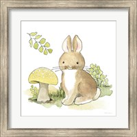 Framed Baby Woodland IV