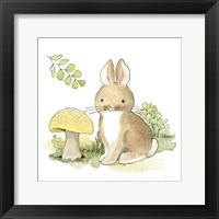 Baby Woodland IV Framed Print