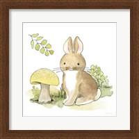 Framed Baby Woodland IV