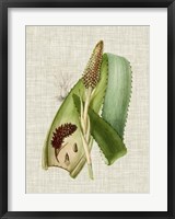 Elegant Tropicals I Framed Print