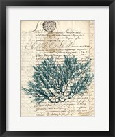 Vintage Teal Seaweed I Framed Print