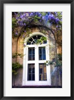 Framed Wisteria