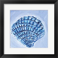 Shell I Framed Print