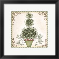 Topiary II Framed Print