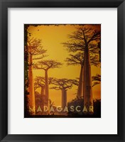 Framed Vintage Baobab Trees in Madagascar, Africa