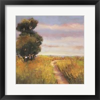 Low Country Petites A Framed Print