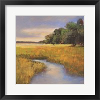 Low Country Petites B Framed Print