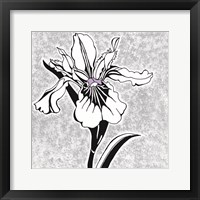 Special Delivery 1B Framed Print