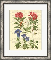 Framed 'Allegro I' border=