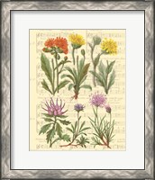 Framed 'Allegro II' border=