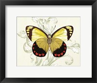 Butterfly Theme II Framed Print