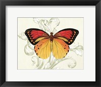 Framed Butterfly Theme III