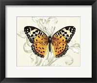 Butterfly Theme IV Framed Print