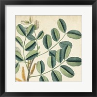 Garden Bounty IX Framed Print