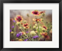 Wild Blooms I Framed Print