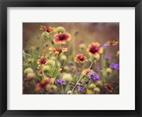 Wild Blooms IV Framed Print