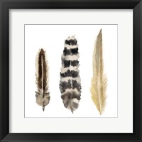 Watercolor Plumes II Framed Print