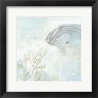 Coastal Fresco II Framed Print