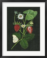 Strawberry Fields I Framed Print