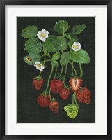 Strawberry Fields II Framed Print