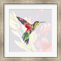 Framed Grey Floral Hummingbird
