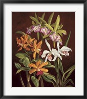 Framed Orchid Trio II