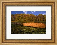 Framed Hay Bales