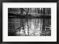 Framed Bank Study #1