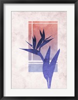 Framed Ombre Bird of Paradise Flower