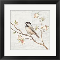 Framed Black Capped Chickadee Vintage