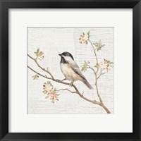 Framed 'Black Capped Chickadee Vintage' border=