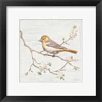 Framed 'Northern Oriole Vintage' border=